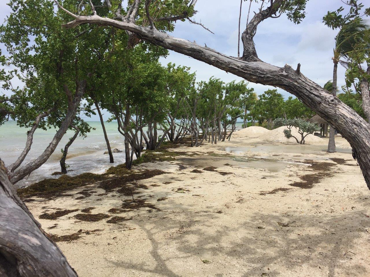 News Port Antigua Property Owners' Association